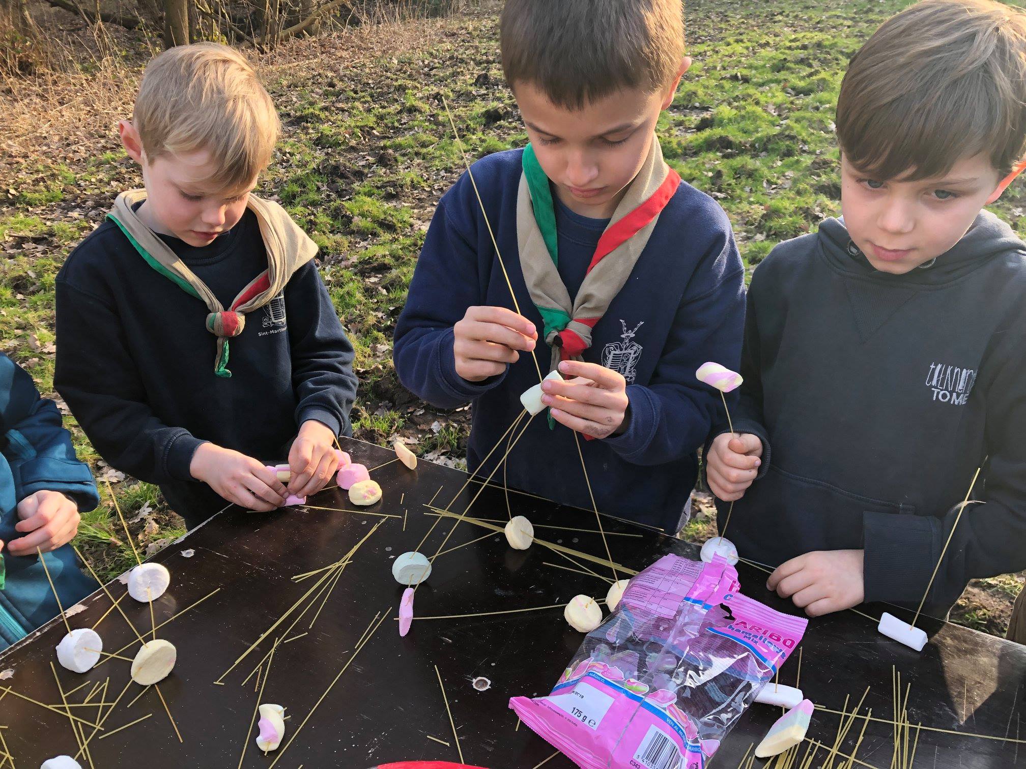 Sint-Martinus den XIIde - Wetenschapsspel Kapoenen Kiewit